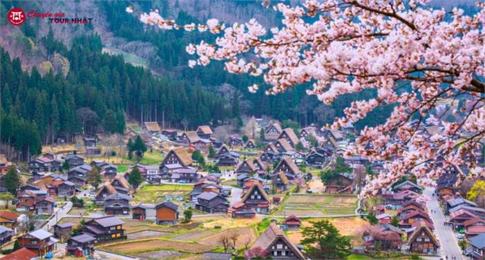 [HCM] Tour Nhật Bản Thiết Kế 6N5Đ Mùa Hoa Anh Đào Shirakawago